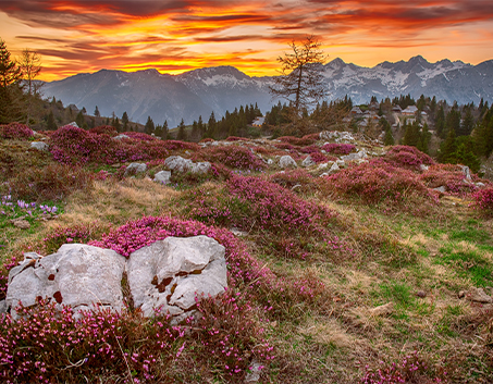 Slovenya görseli